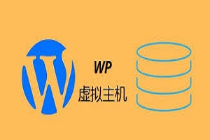 Kinsta WordPress主机怎么样