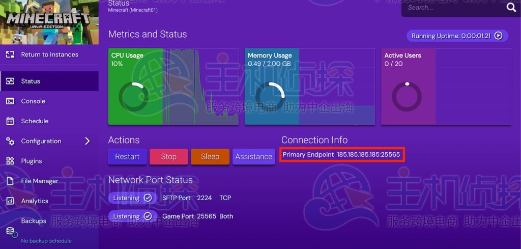 Hostinger 游戏面板上的 Minecraft 服务器端点位置