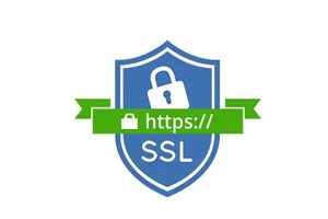 单域名证书多少钱一年