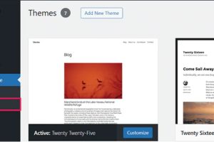 wordpress主题编辑器