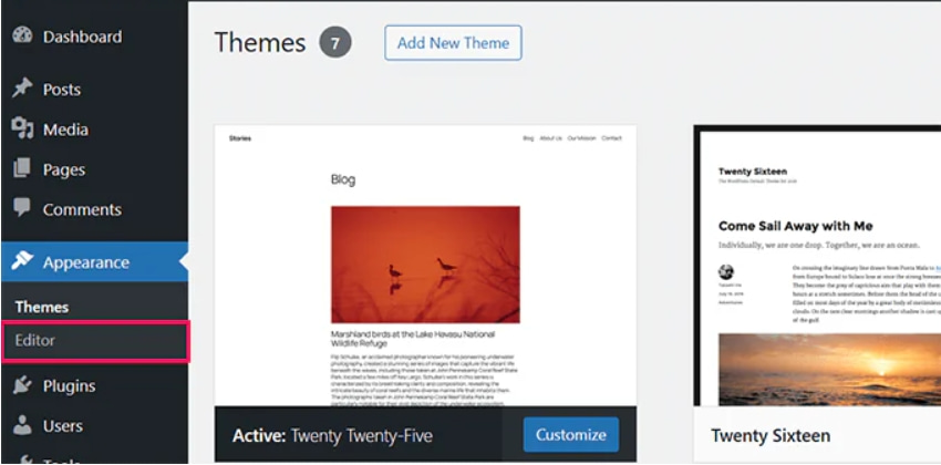 wordpress主题编辑器