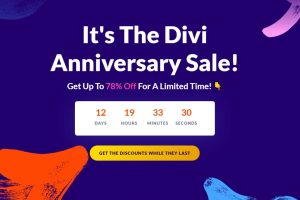 Divi主题17周年庆