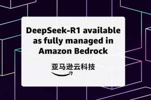 AWS 托管DeepSeek-R1模型