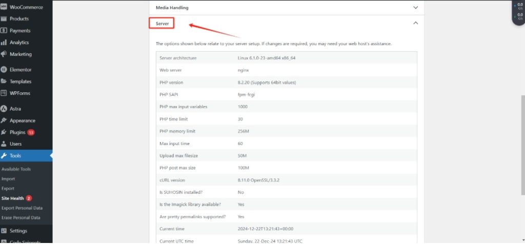 咨询的托管服务提供商