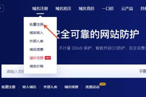 域名批量注册过程