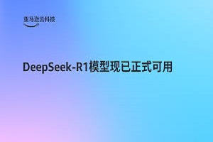 DeepSeek满血版收费吗