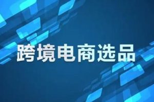 跨境选品软件