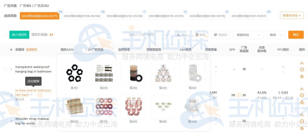 广告组5的搜索词