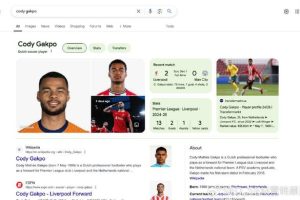 Google搜索引擎结果页面（SERP）功能