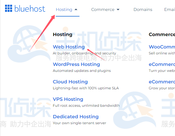 BlueHost