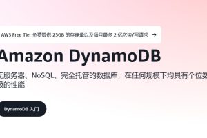 亚马逊云科技无服务器数据库