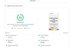 BlueHost美国虚拟主机PageSpeed Insights和Pingdom测试