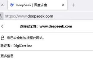 DeepSeek