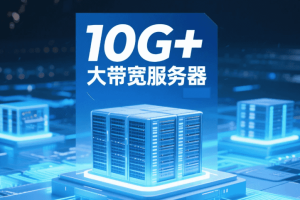 RAKsmart推出10G+大带宽服务器