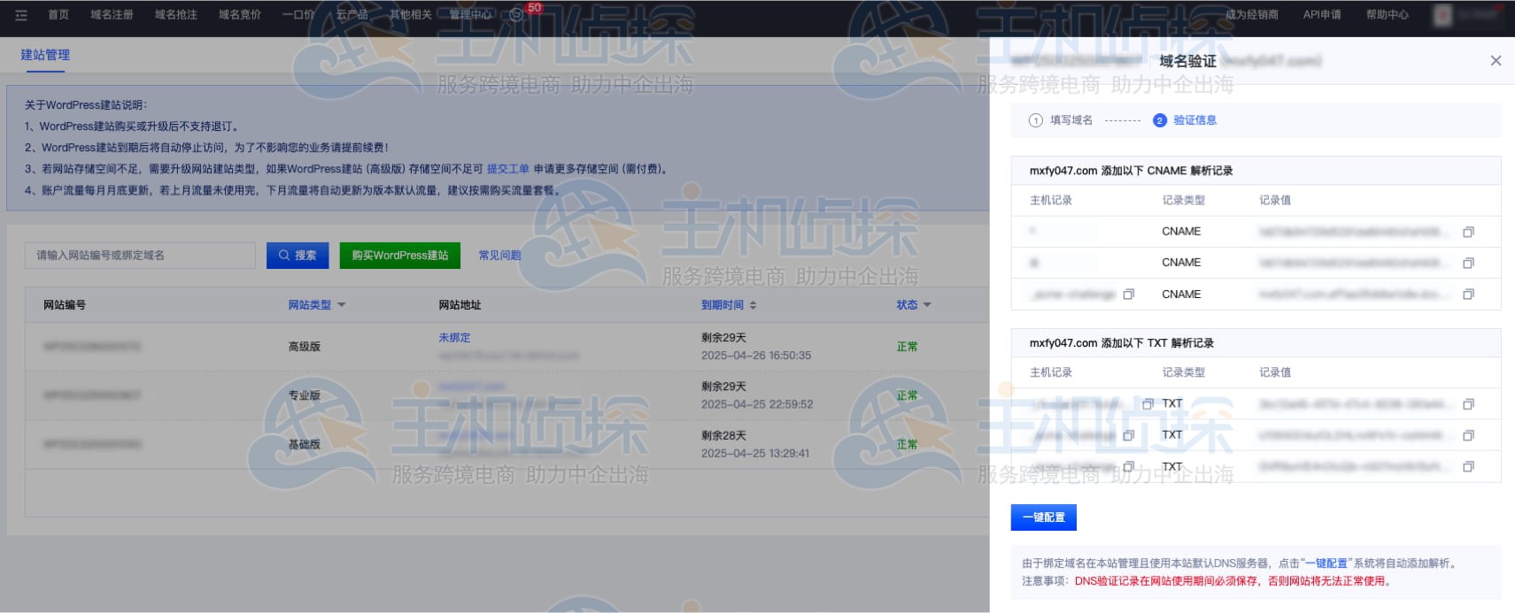 配置DNS验证信息