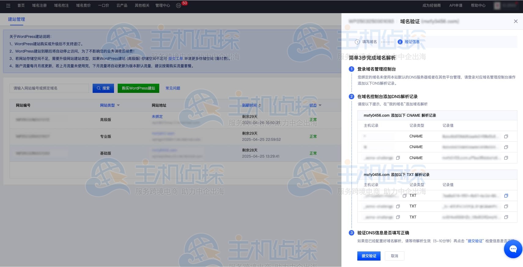 配置DNS验证信息