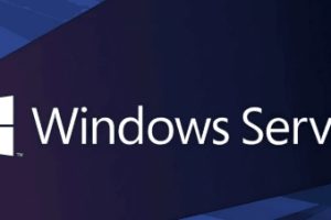 日本windowsserver服务器
