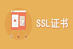 SSL证书厂商可以直接申请证书吗
