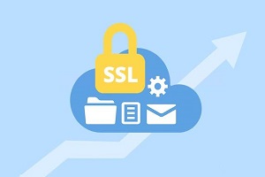 SSL证书有问题怎么办