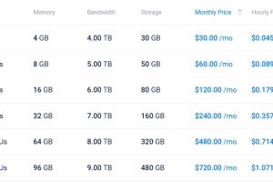 Vultr德国云服务器租用价格
