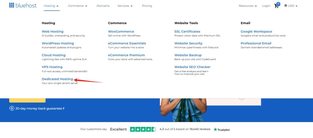 Bluehost独立服务器