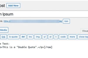 使用插件禁用WordPress中的自动格式化