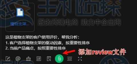利用卖家精灵分析评论