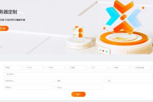 RAKsmart服务器定制