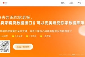 卖家精灵国内首页样式