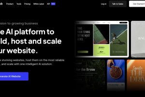 WP Engine替代方案10Web