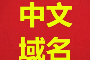 中文域名