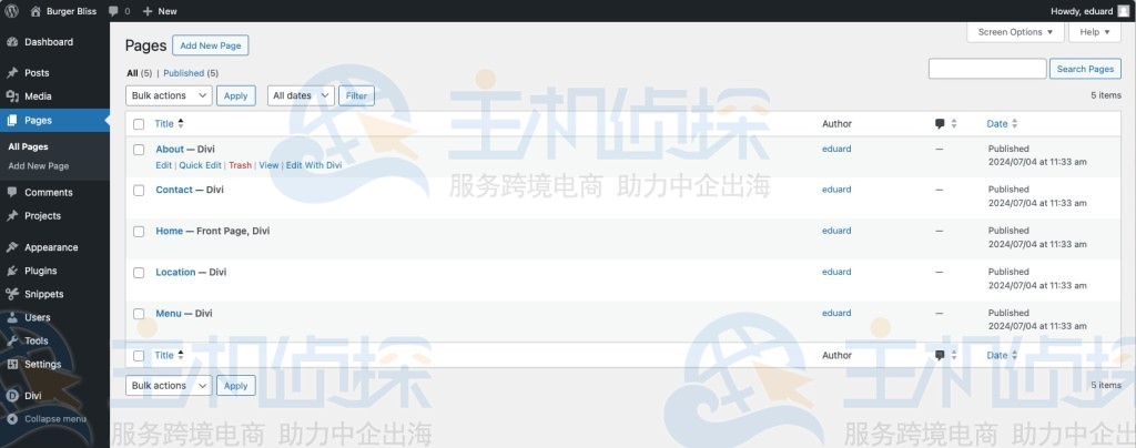 WordPress仪表板访问所有页面