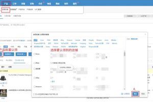 店小秘ERP接入抖音国际版日本新站