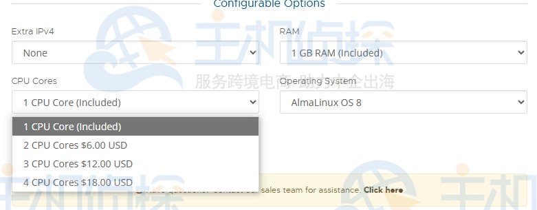 RackNerd最新KVM VPS促销方案