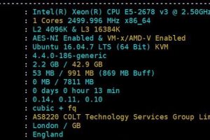 Lightlayer英国原生IP VPS系统参数