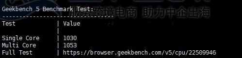 Geekbench 5 Benchmark测试