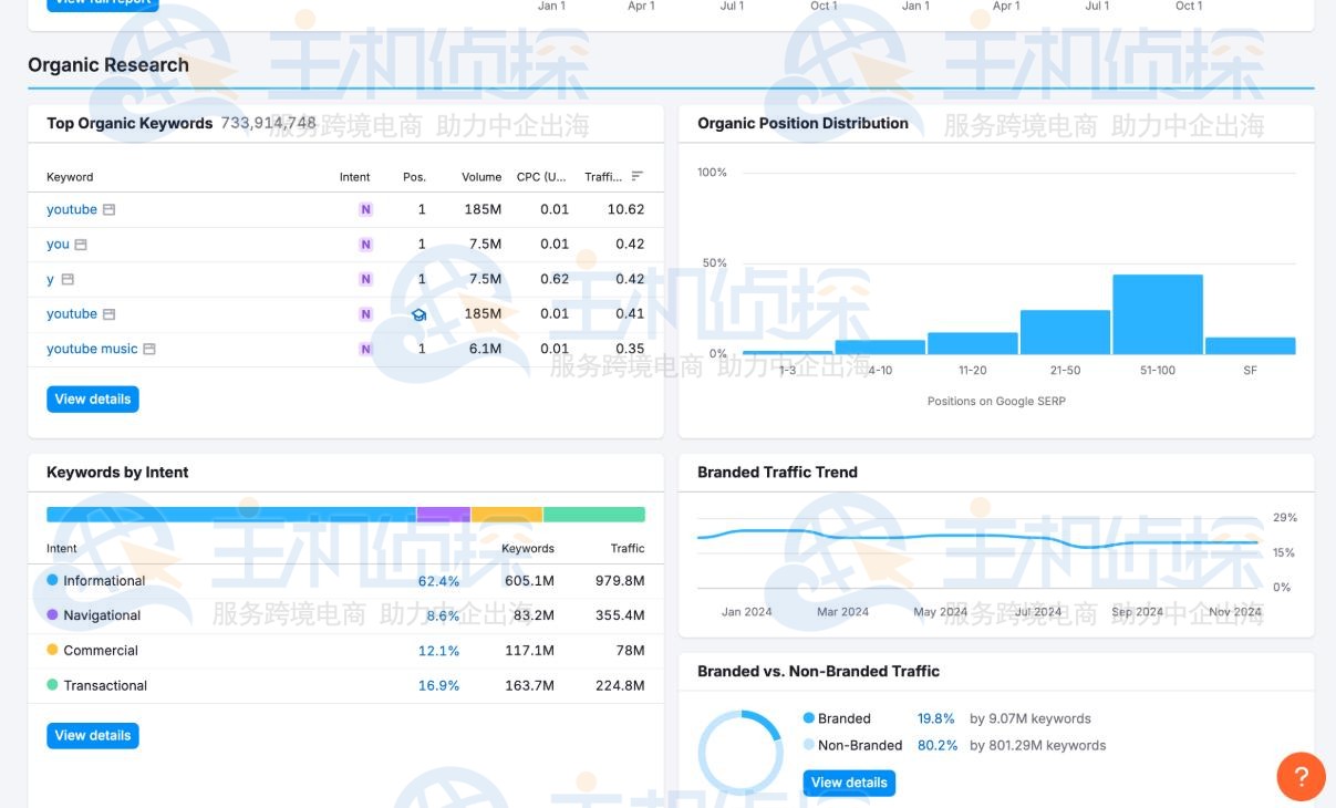 Semrush域名概览（Domain Overview）