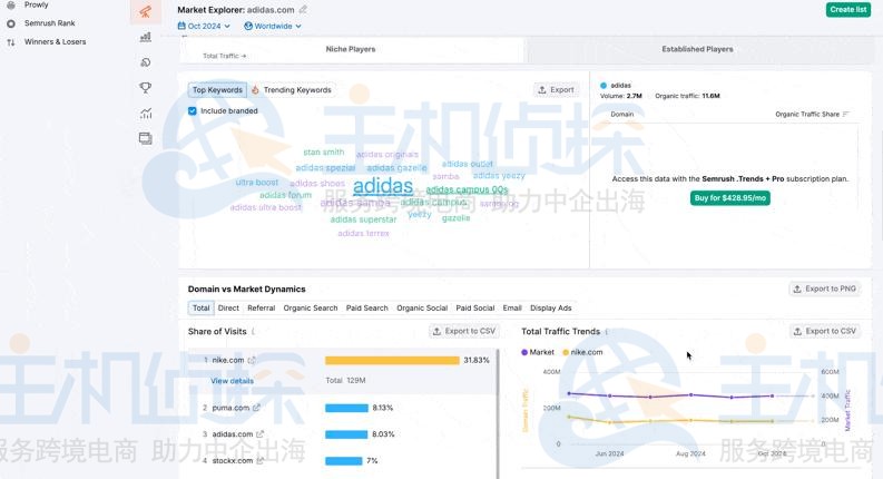 Semrush市场浏览器（Market Explorer）