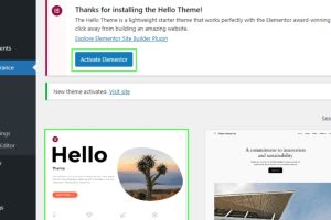 激活 Elementor 页面构建器插件
