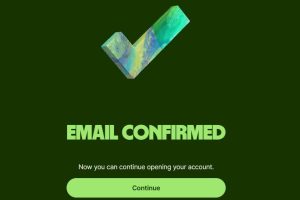 Wise收款平台开户流程