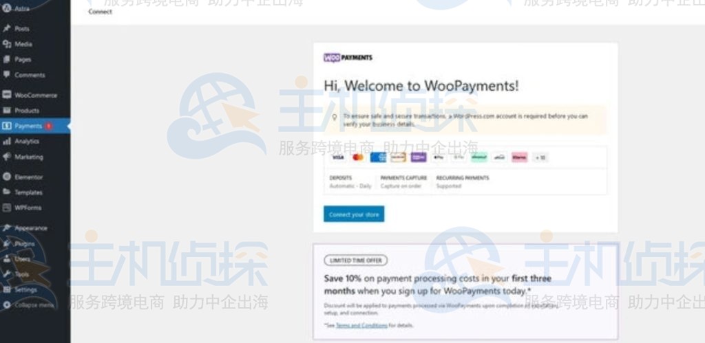 从WordPress菜单中选择支付以访问主屏幕