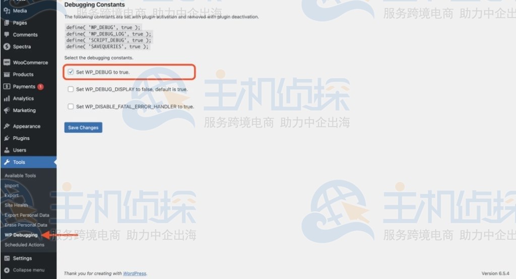 使用WP Debugging插件开启调试模式