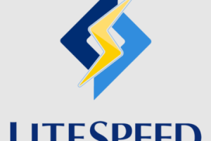 LiteSpeed Web服务器