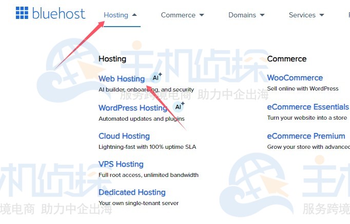 BlueHost