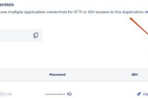Cloudways本地备份