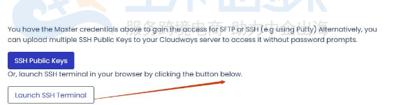 备份上传到Vultr服务器
