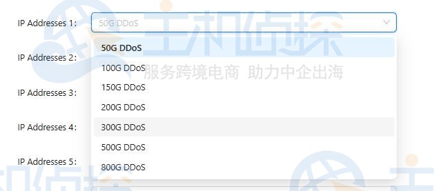 RAKsmart海外高防服务器