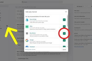 单击 Sales Channels 旁边的+图标