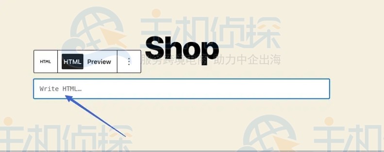将自Shopify 产品页面代码粘贴到显示“Write HTML...”方框中