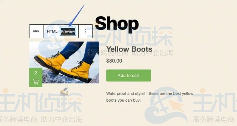 单击该 HTML 块的 Preview 选项卡